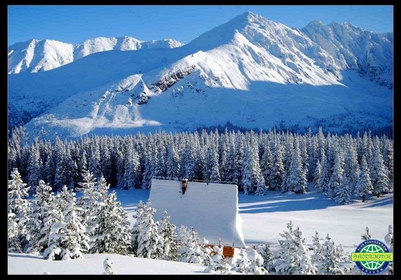 54.jpg