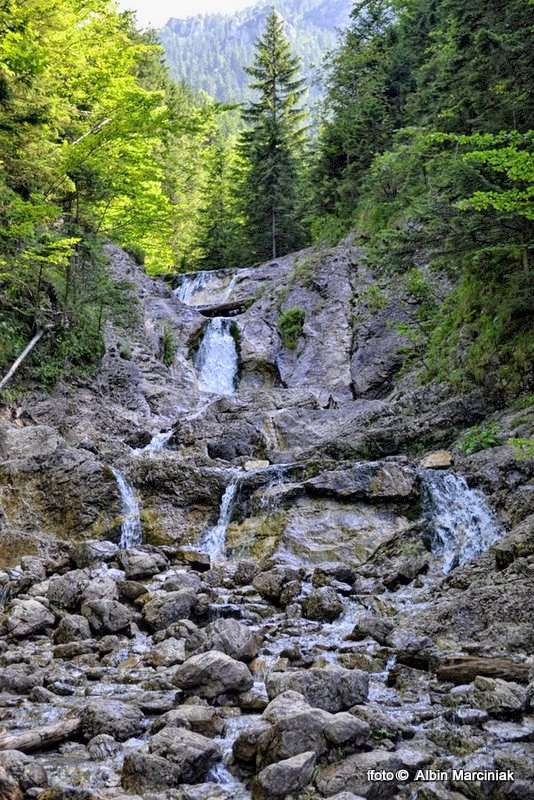 DSC_1139-HDR(1)