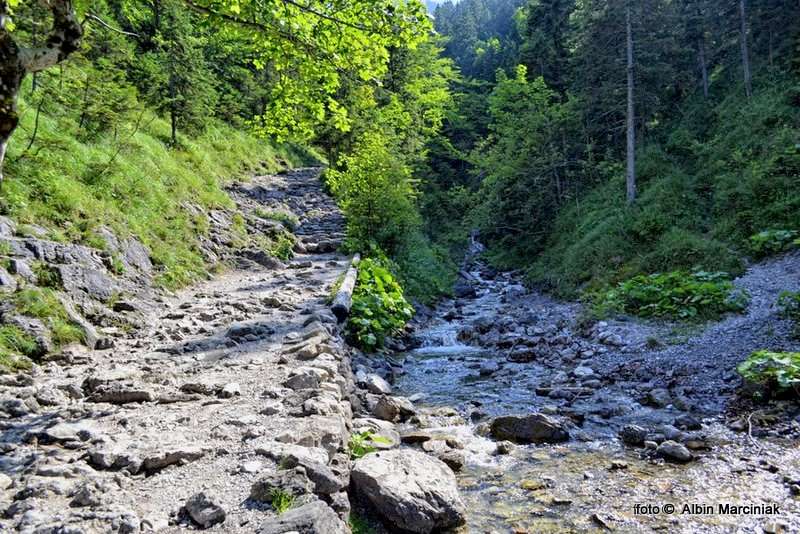 DSC_1154-HDR(1)