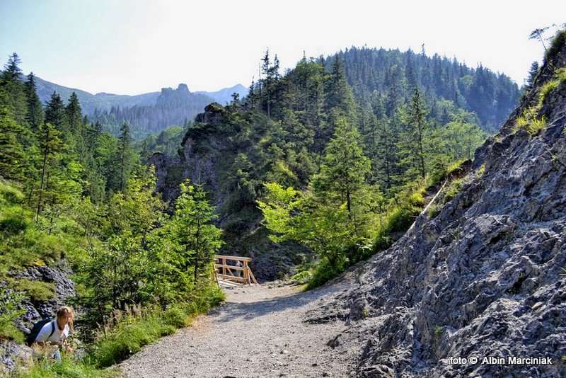 DSC_1164-HDR(1)