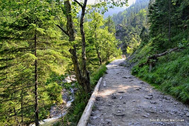 DSC_1166-HDR(1)