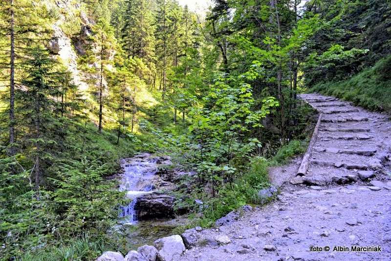 DSC_1180-HDR(1)