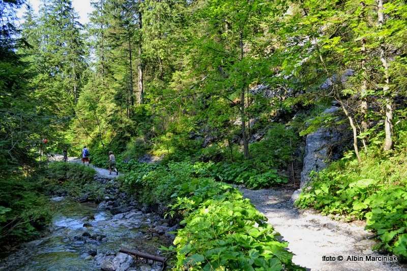 DSC_1212-HDR(1)