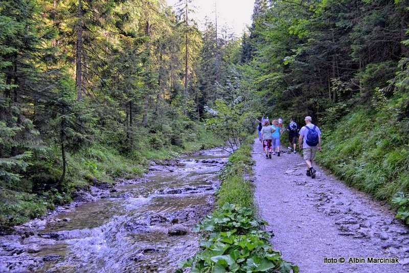 DSC_1231-HDR(1)