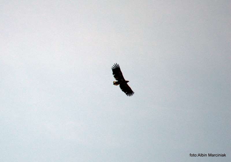 5960DSC_0369