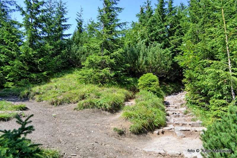 DSC_1059-HDR(1)