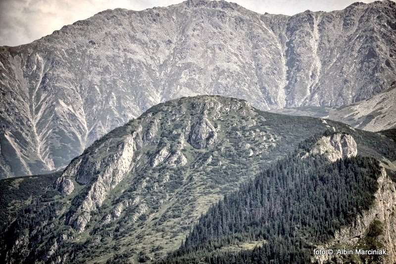DSC_1111-HDR(1)