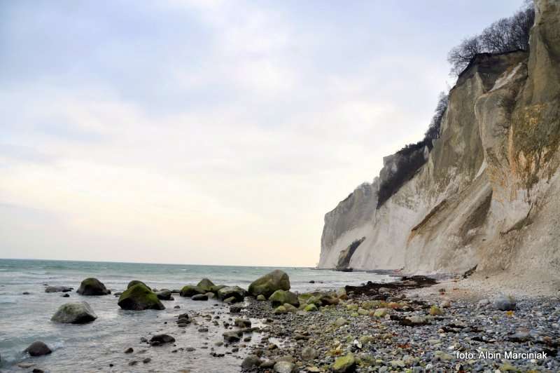 Møns Klint Møns Klint Dania białe klify w regionie Zelandia 10