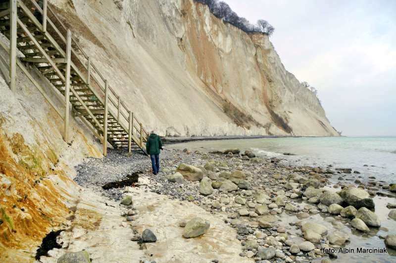Møns Klint Møns Klint Dania białe klify w regionie Zelandia 11