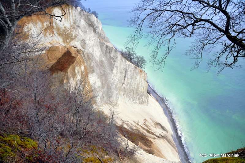 Møns Klint Møns Klint Dania białe klify w regionie Zelandia 14