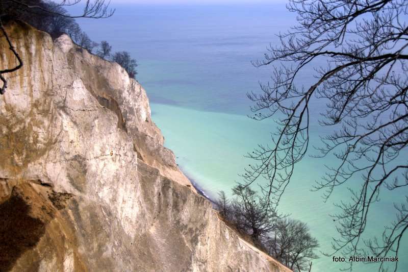 Møns Klint Møns Klint Dania białe klify w regionie Zelandia 15