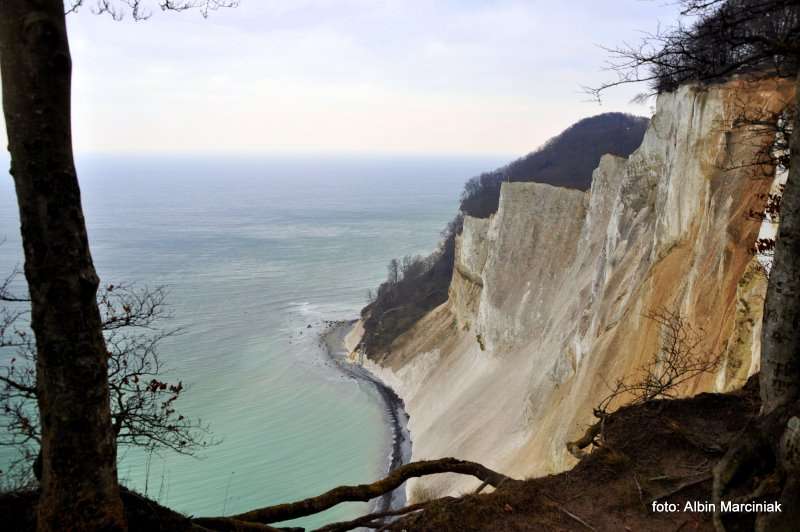 Møns Klint Møns Klint Dania białe klify w regionie Zelandia 16