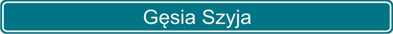 21 Gęsia Szyja