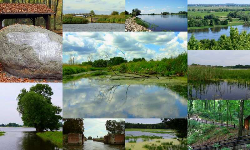 Dolna Odra