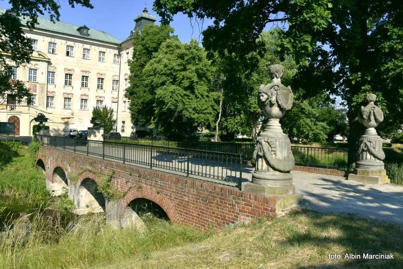 Zamek w Rydzynie Wielkopolska 5