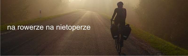 na rowerze na nietoperze