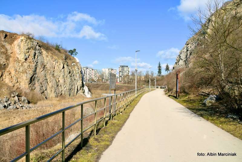 Rezerwat przyrody Kadzielnia Kielce 12