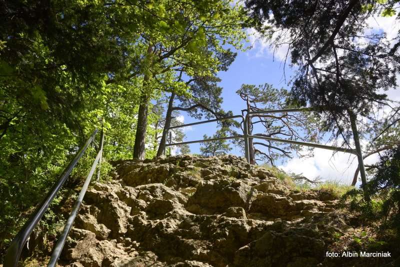 Pieniny Sokolica 11