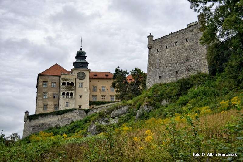 http://www.klubpodroznikow.com/images/stories/relacje/pieskowa_skala/DSC_2692.jpg