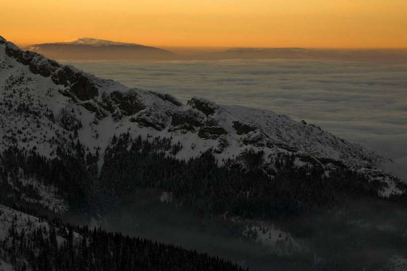 218A  Michal  Cypcer