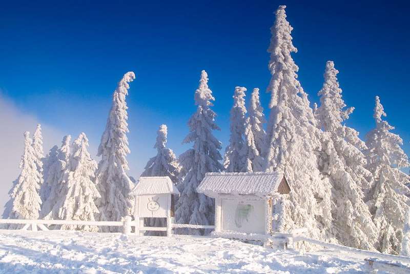 1  - Janusz Gruda tytuł pracy 'Uśmiechnij się - jesteś na Turbaczu'