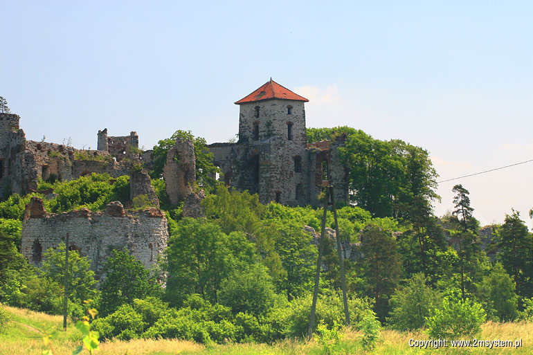 2-20110525.jpg
