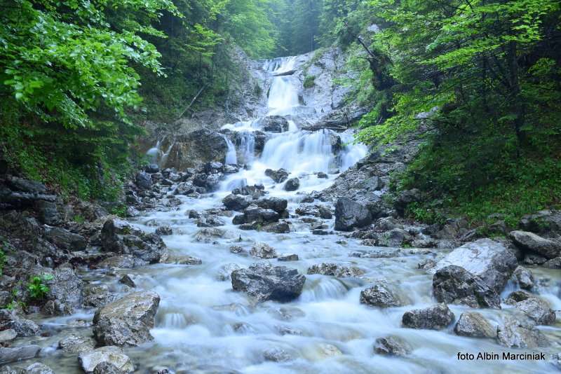 Sarni Wodospad w Dolinie Białego 4