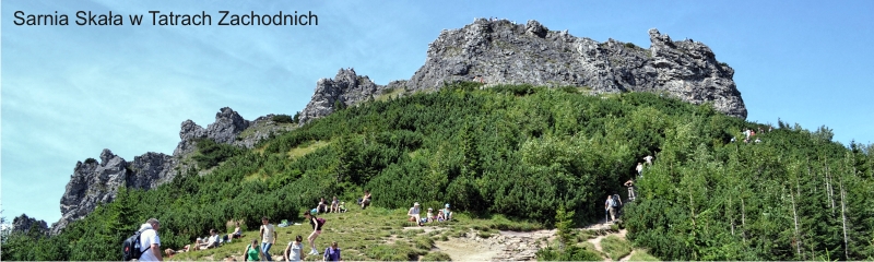 SarniaSkaławtatrachZachodnich.jpg