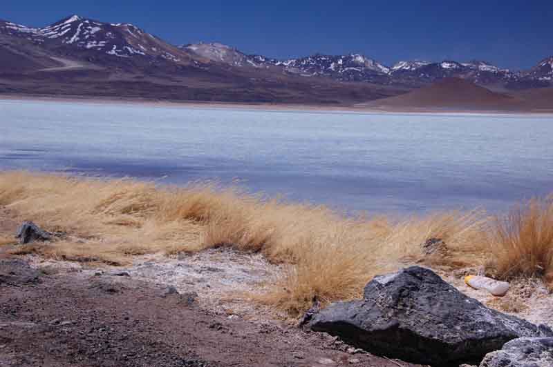 Laguna_Blanca4.JPG