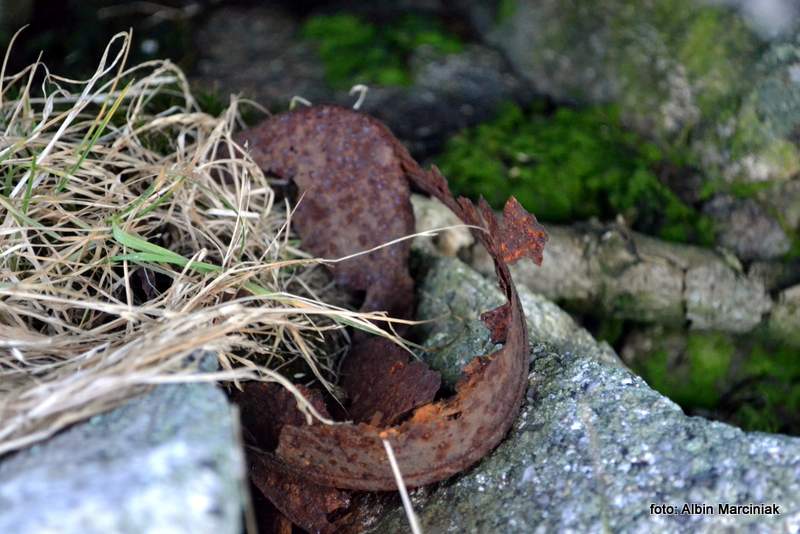 DSC_0323-20131102.JPG