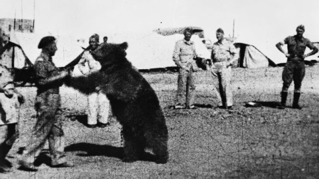 wojtek.jpg