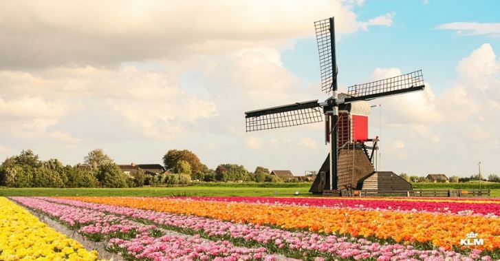 klm-20150325.JPG