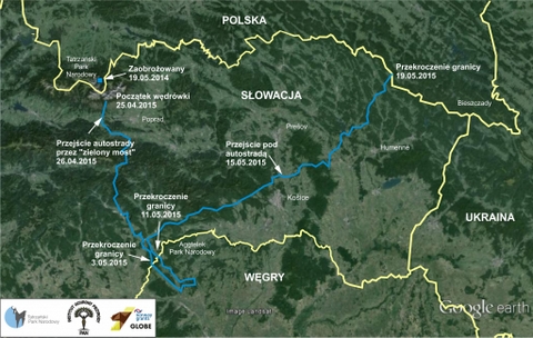 iwo_journey_to_bieszczadypl.jpg