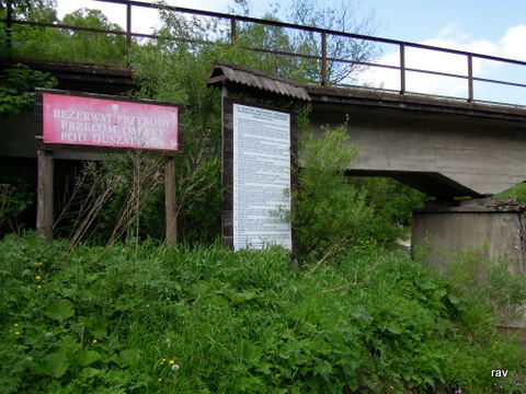 DSCN7319.JPG