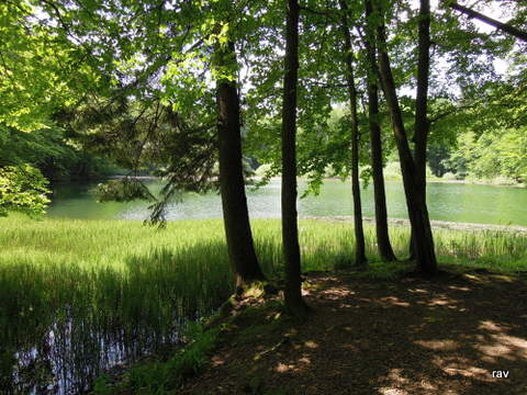DSCN7334.JPG