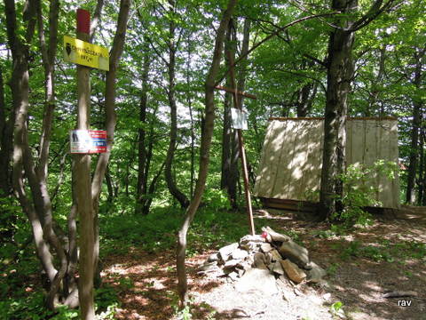 DSCN7338.JPG