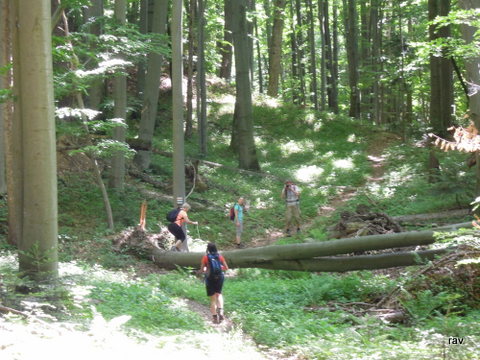 DSCN7384.JPG