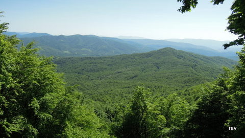 DSCN7398.JPG
