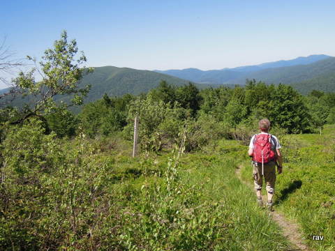 DSCN7400.JPG