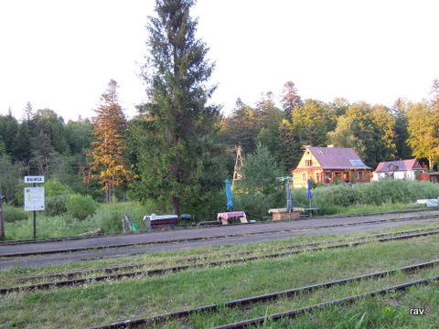 DSCN7493.JPG