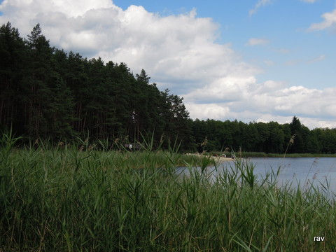 DSCN7700.JPG