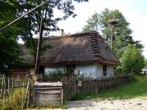 DSCN7713.JPG
