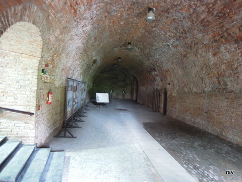 DSCN7723.JPG