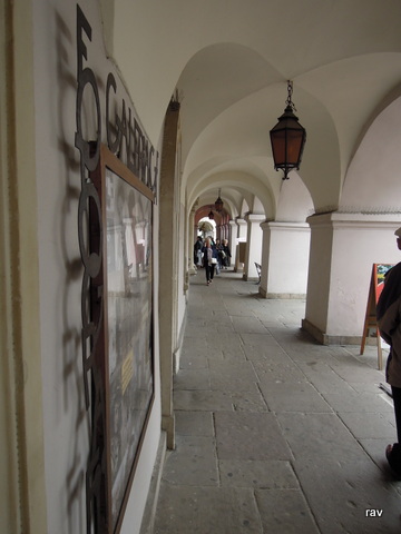 DSCN7784.JPG