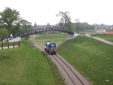 DSCN7801.JPG