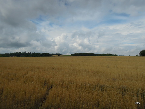DSCN7813.JPG