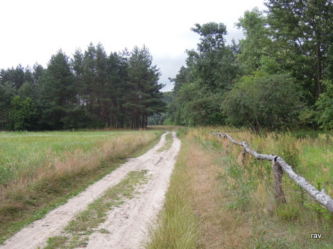 DSCN7822.JPG