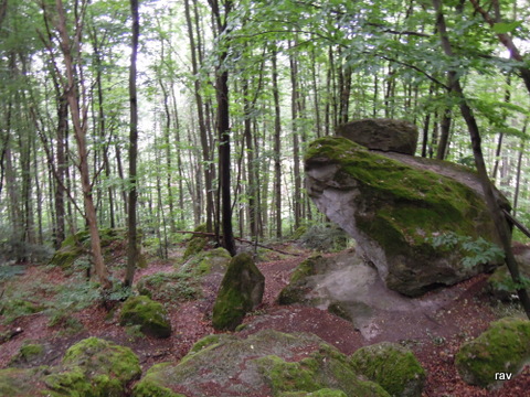DSCN7826.JPG