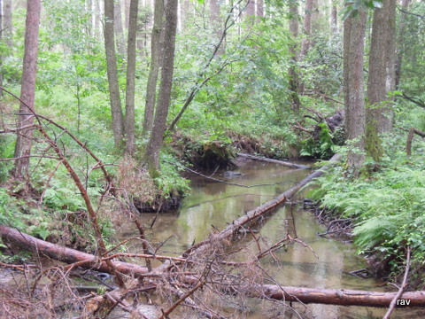 DSCN7829.JPG