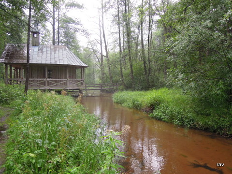 DSCN7848.JPG